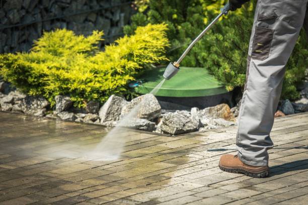 Best Roof Washing  in Falconer, NY