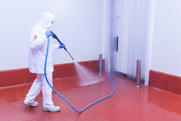Best Parking Lot and Garage Cleaning  in Falconer, NY